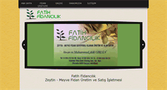Desktop Screenshot of fatihfidancilik.com