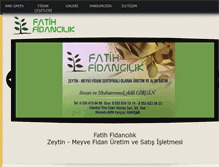 Tablet Screenshot of fatihfidancilik.com